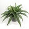 6-Pack: Boston Fern Plant with 42 Silk Fronds, 34" Wide by Floral Home®, Floral Home by Artificial Flowers